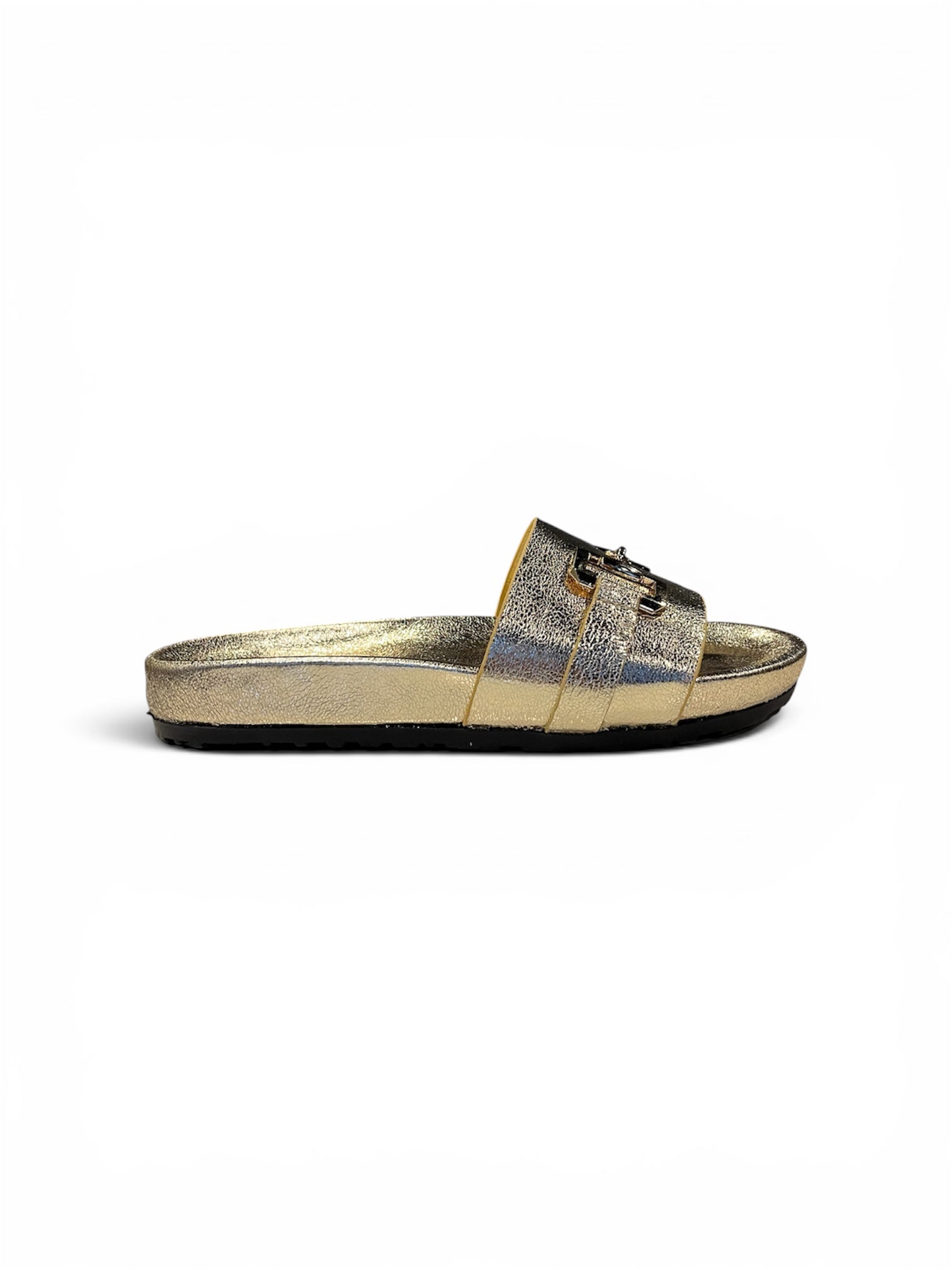 Clasp Metallic Slide Source